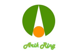 Arik Ring, Energy Solutions for The 21st Century